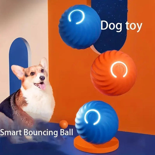 Automatic Smart Teasing Pet Ball 🐶