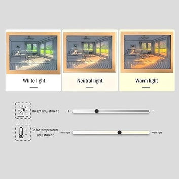 LED Illuminated Painting Light